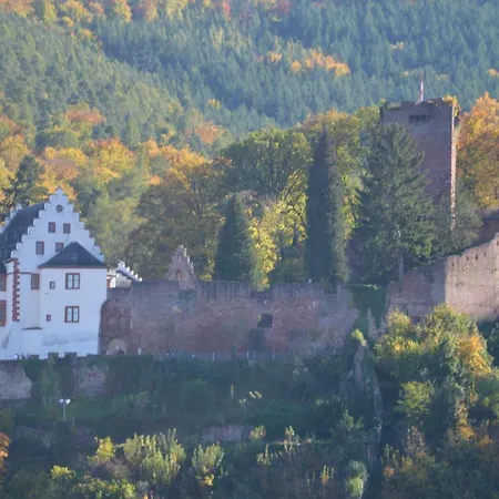 Apartmán Panorama-blick Miltenberg, 3 Pers., Zentr., Am Main, Terrasse, Bootverleih, P *