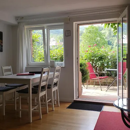Apartment Panorama-blick Miltenberg, 3 Pers., Zentr., Am Main, Terrasse, Bootverleih, P Miltenberg