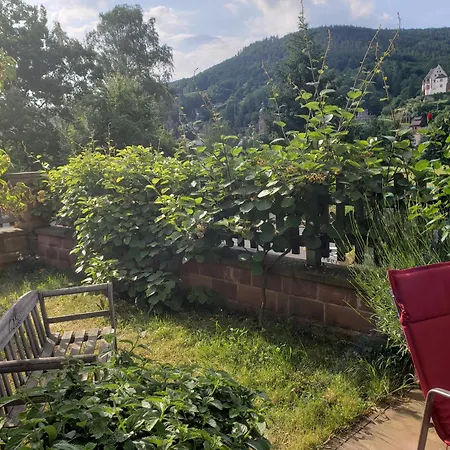 Panorama-blick Miltenberg, 3 Pers., Zentr., Am Main, Terrasse, Bootverleih, P * Мильтенберг