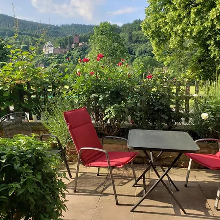 Panorama-blick Miltenberg, 3 Pers., Zentr., Am Main, Terrasse, Bootverleih, P Miltenberg