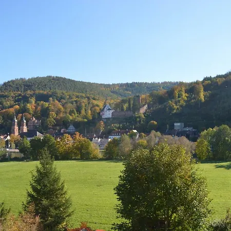 Panorama-blick Miltenberg, 3 Pers., Zentr., Am Main, Terrasse, Bootverleih, P *