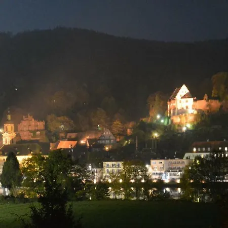 Panorama-blick Miltenberg, 3 Pers., Zentr., Am Main, Terrasse, Bootverleih, P * Мильтенберг