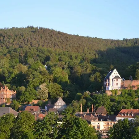Panorama-blick Miltenberg, 3 Pers., Zentr., Am Main, Terrasse, Bootverleih, P Miltenberg