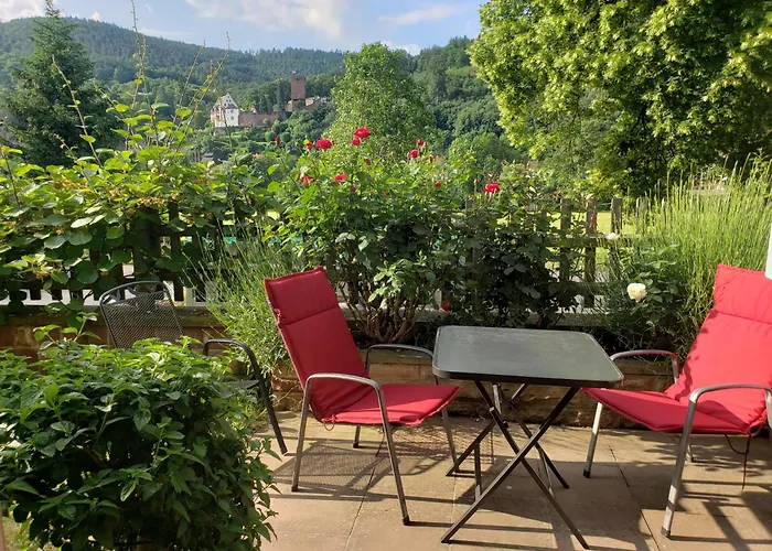 Panorama-blick Miltenberg, 3 Pers., Zentr., Am Main, Terrasse, Bootverleih, P ميلتينبرغ