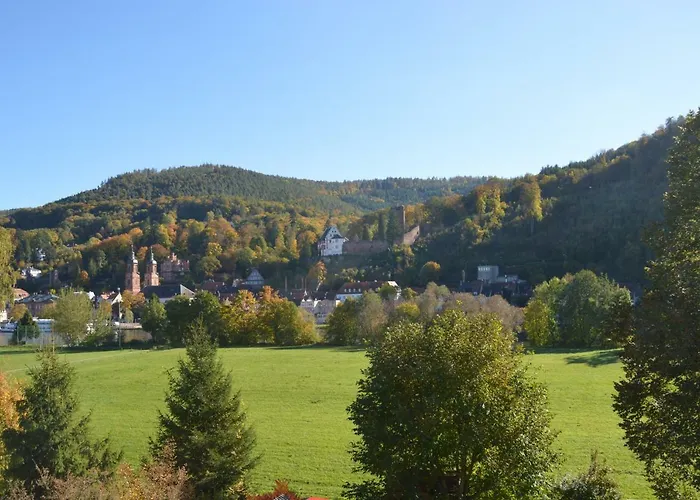 Panorama-blick Miltenberg, 3 Pers., Zentr., Am Main, Terrasse, Bootverleih, P *