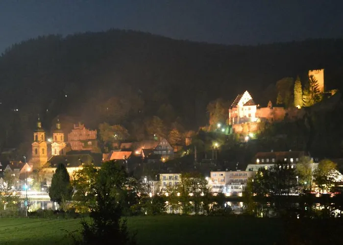 Panorama-blick Miltenberg, 3 Pers., Zentr., Am Main, Terrasse, Bootverleih, P * ميلتينبرغ