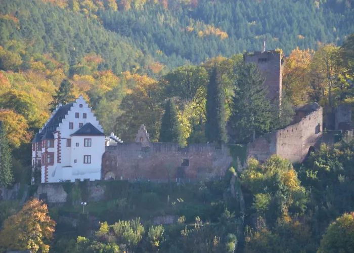 شقة Panorama-blick Miltenberg, 3 Pers., Zentr., Am Main, Terrasse, Bootverleih, P *