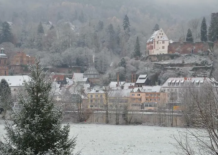 Panorama-blick Miltenberg, 3 Pers., Zentr., Am Main, Terrasse, Bootverleih, P *