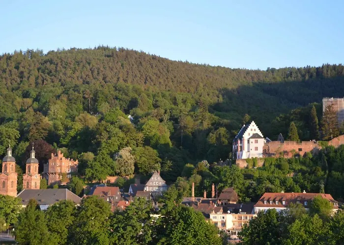 Panorama-blick Miltenberg, 3 Pers., Zentr., Am Main, Terrasse, Bootverleih, P ميلتينبرغ
